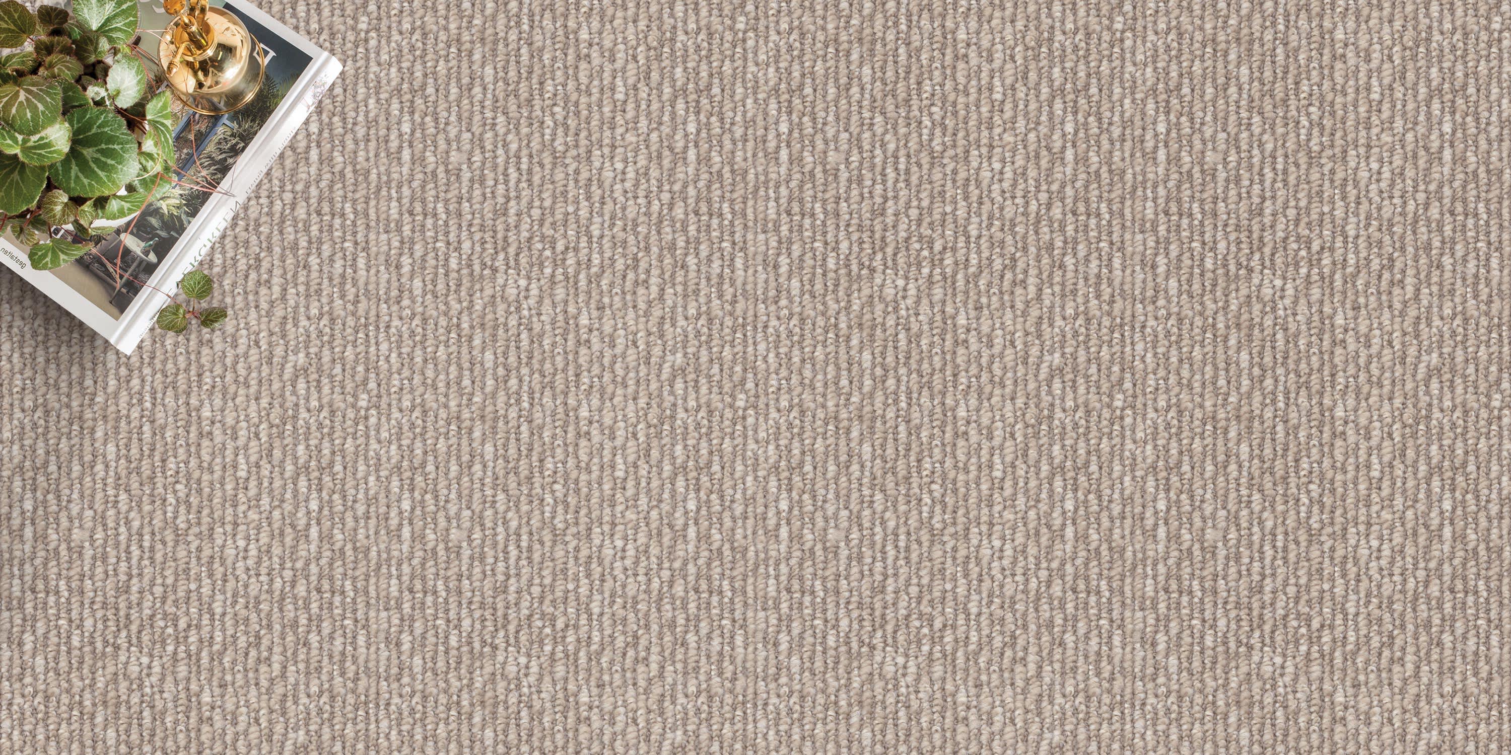 Trafford textured loop carpet in a living room